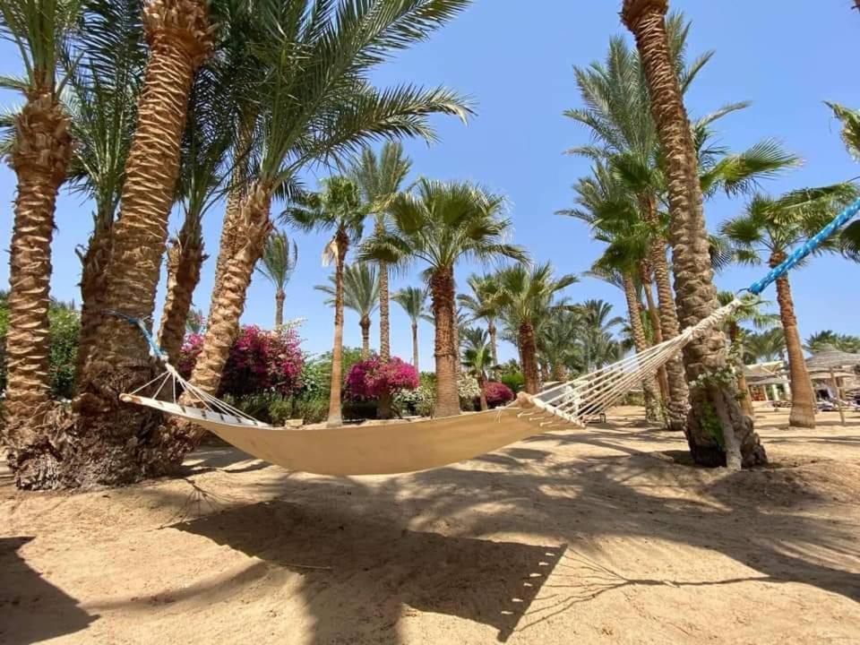 Brayka Bay Reef Resort Abu Dabbab Esterno foto