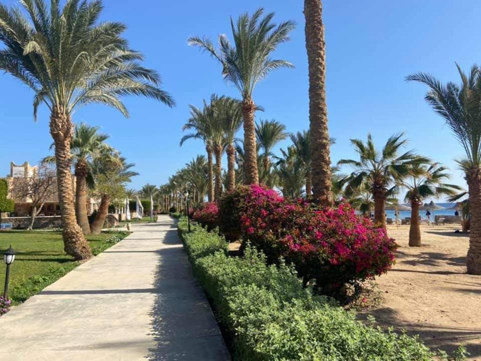 Brayka Bay Reef Resort Abu Dabbab Esterno foto